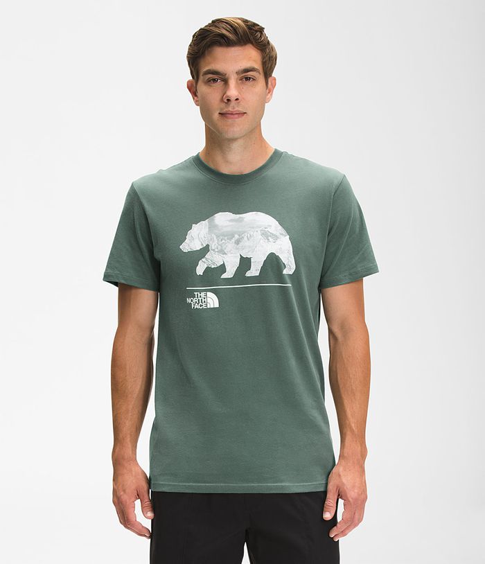 The North Face T-Shirts Bearscape Short Sleeve Green - Mens - Thailand IHQJN-5387